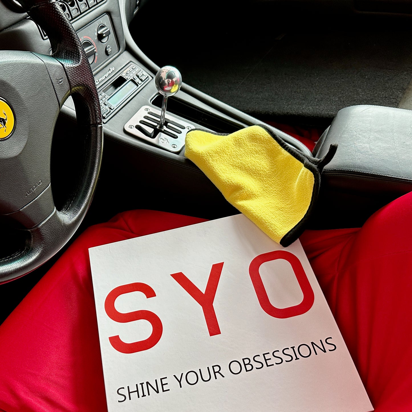 SYO: Das Reinigungstuch Set   (2 Tücher)