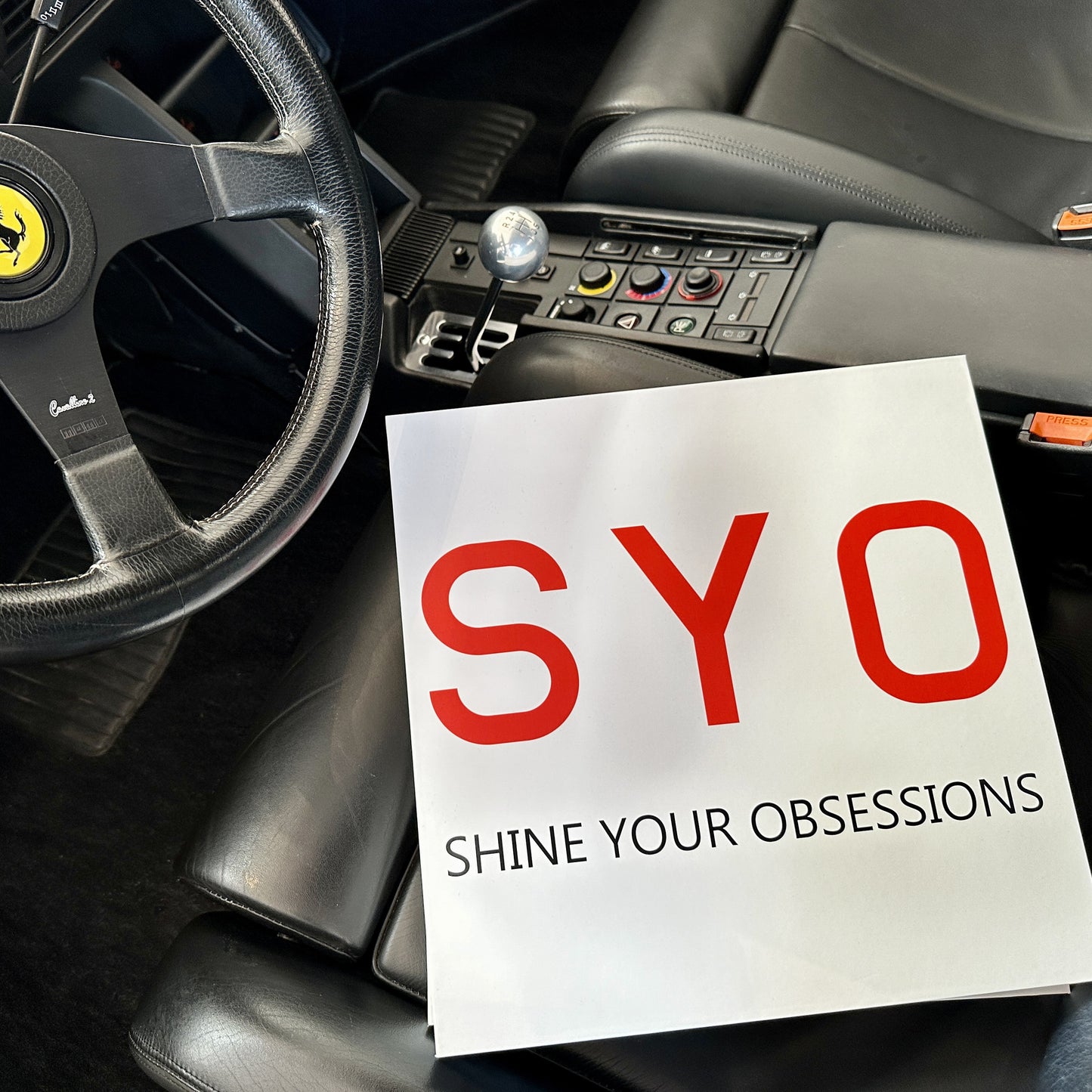 SYO: Das Reinigungstuch Set   (2 Tücher)